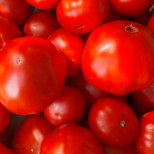 Tomate-coeur-de-boeuf-bio