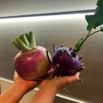 Plants potagers 2025