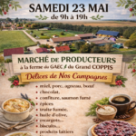 Les élèves de l’école Jacques Prévert découvrent les joies du maraîchage